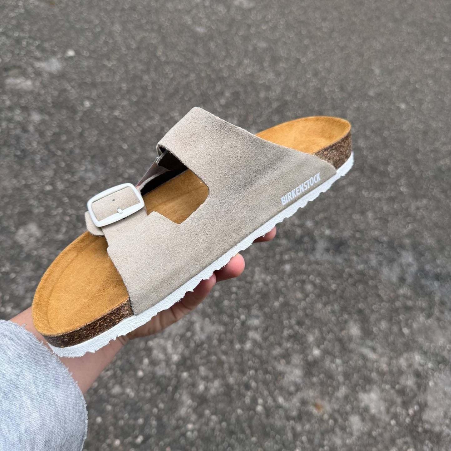 Arrizona oyster (daim)