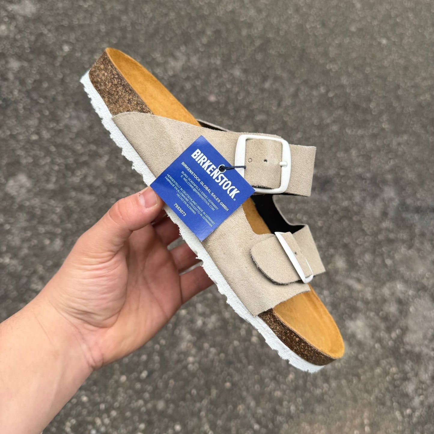 Arrizona oyster (daim)