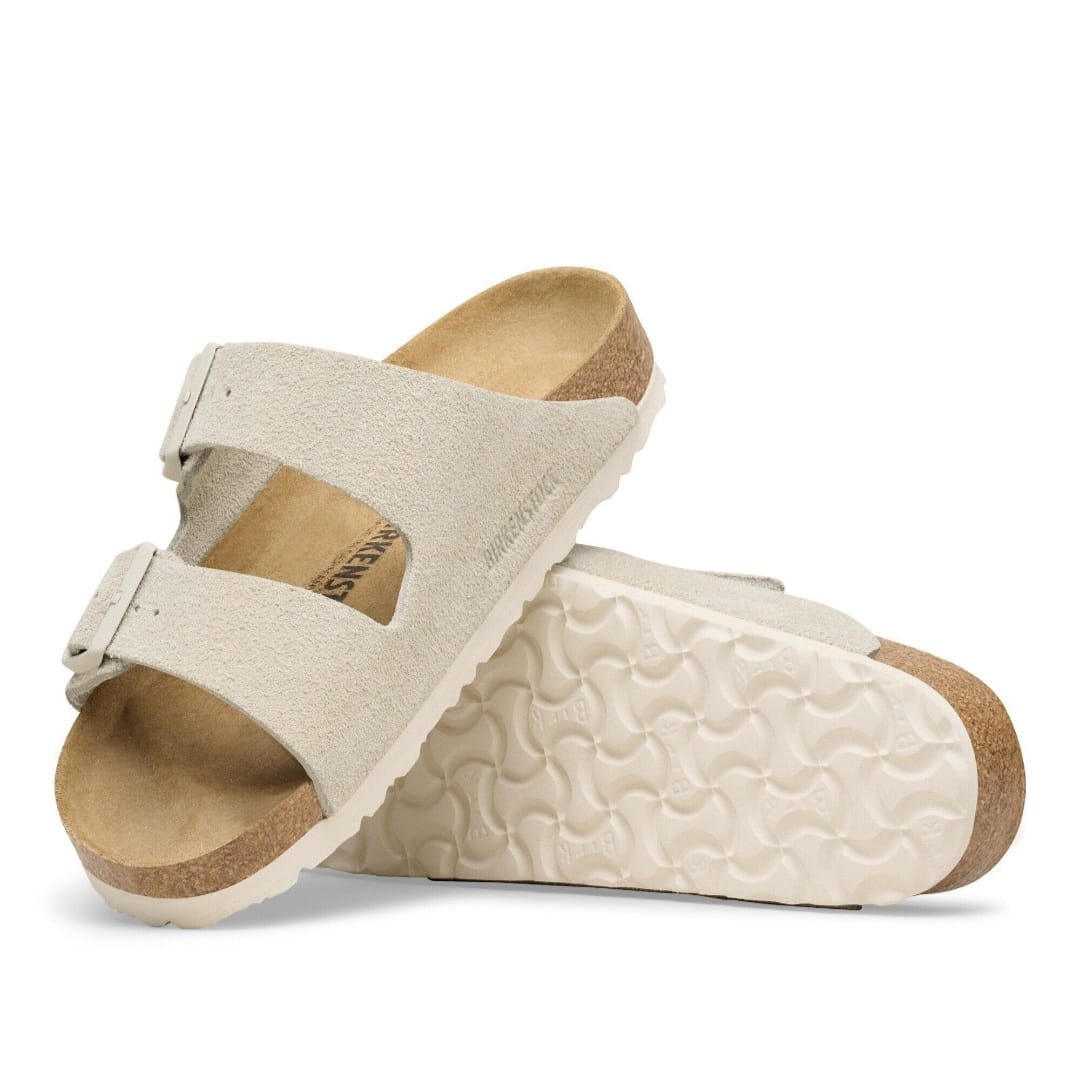 Arrizona oyster (daim)