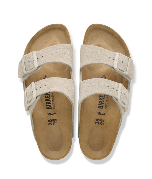 Arizona osyter (dain)